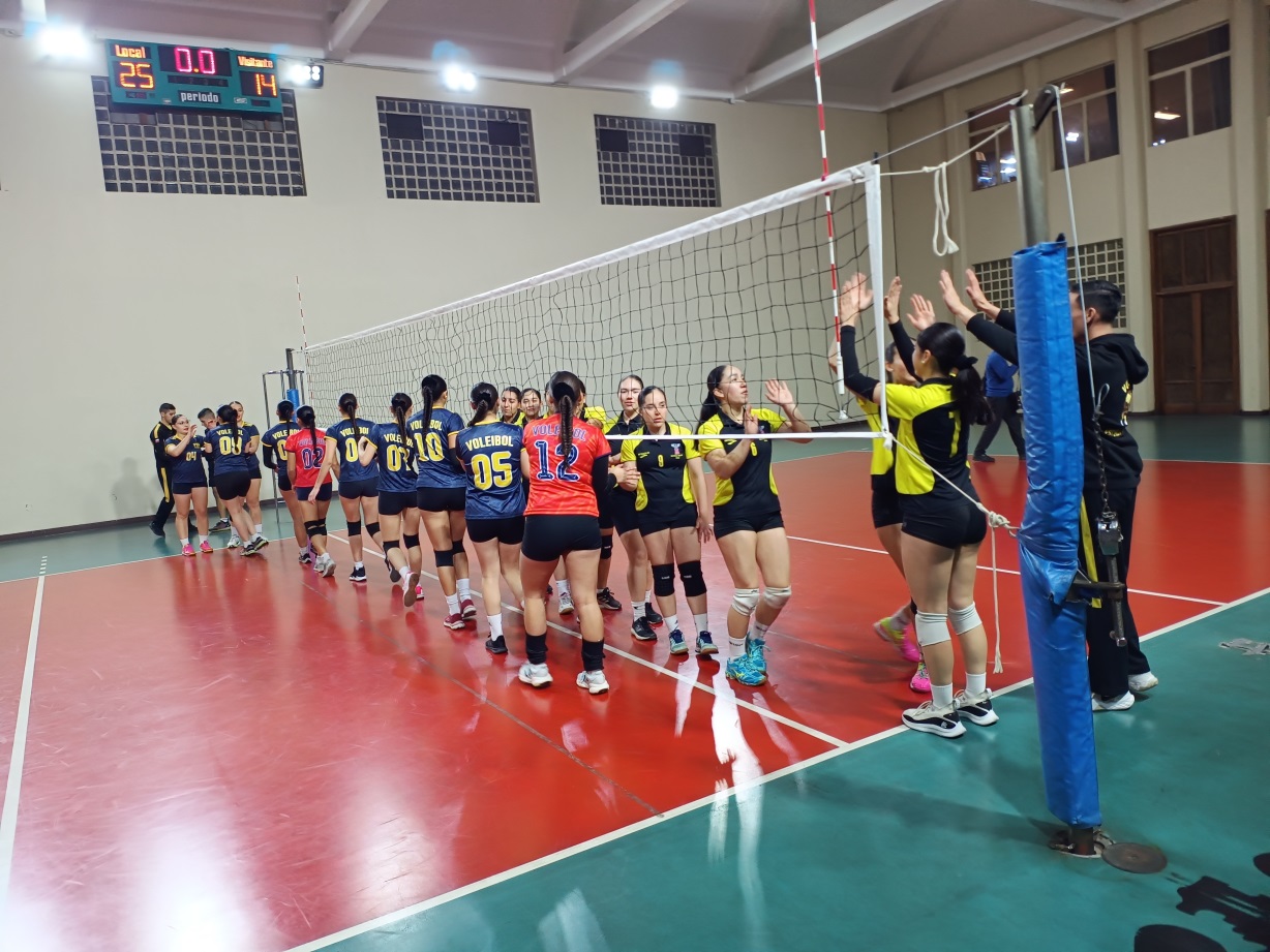 voleibol 6