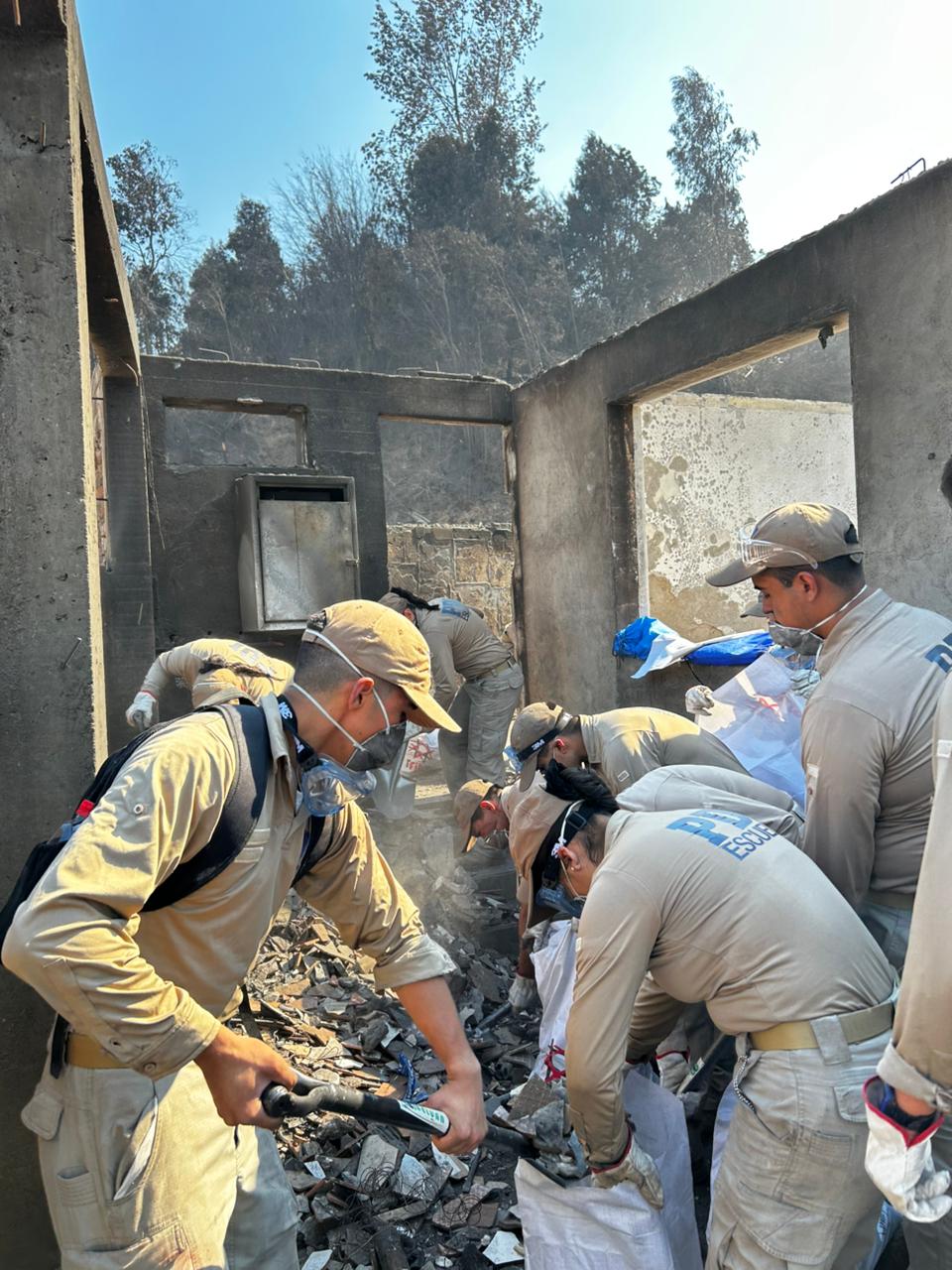 WhatsApp Image 2026-01-22 at 11.25.14 AM