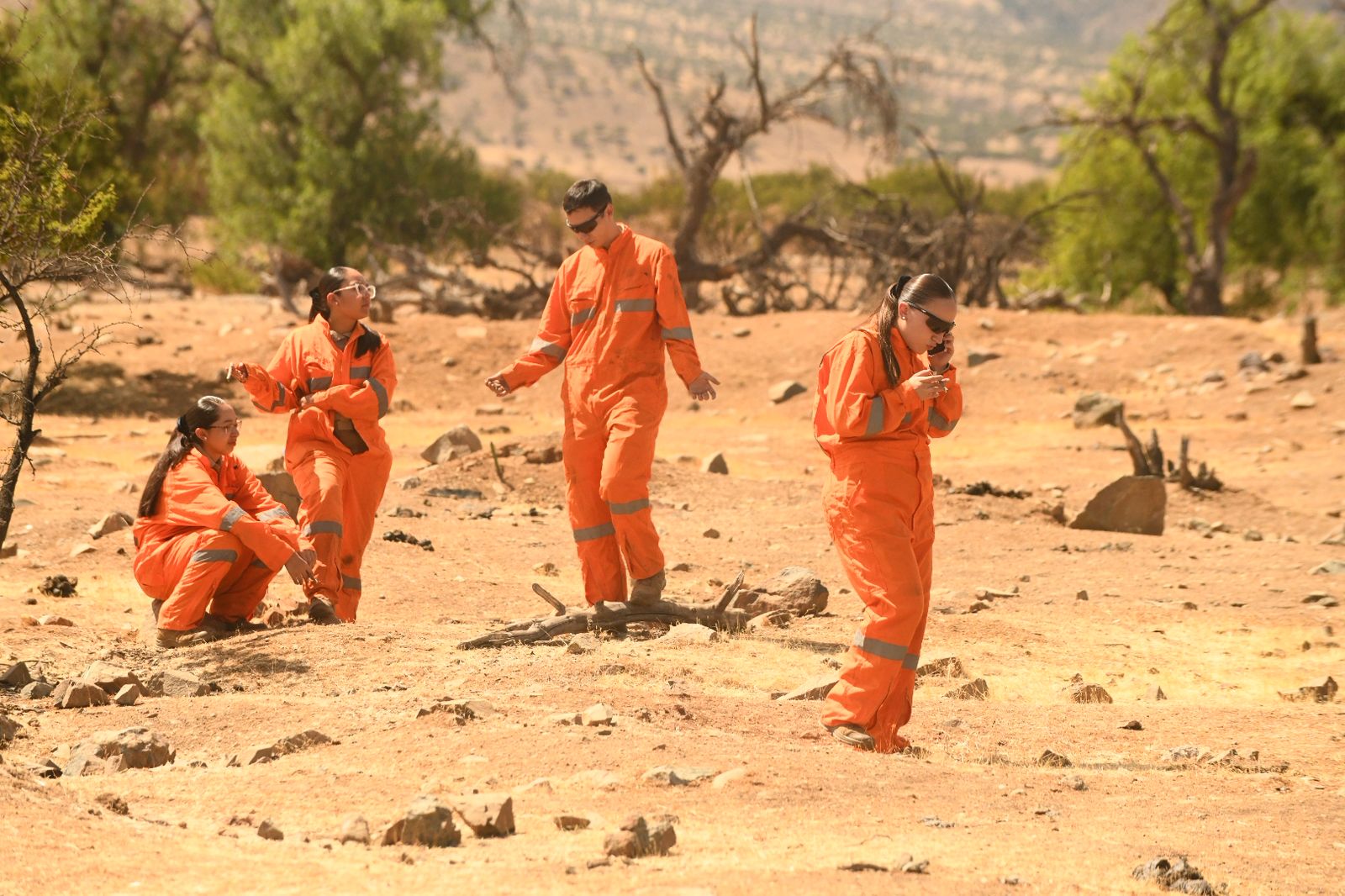 WhatsApp Image 2026-02-28 at 12.43.47 PM